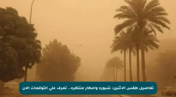 تفاصيل طقس الاثنين: شبورة وأمطار منتظرة.. تعرف على التوقعات الآن